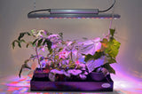 Luminaire pour Plante "Grow Lights Quatro" - 30 W